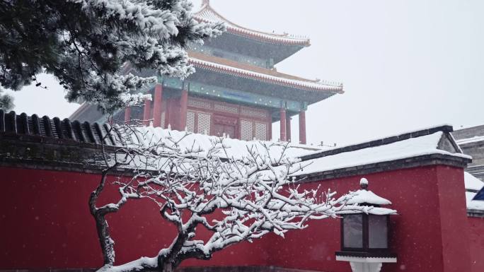 北京故宫雪景 4K高码率