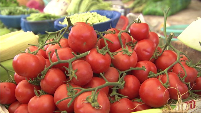 菜市场 西红柿 番茄 中小果 一串西红柿