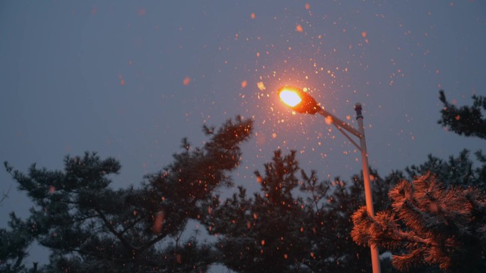 路灯下的雪景