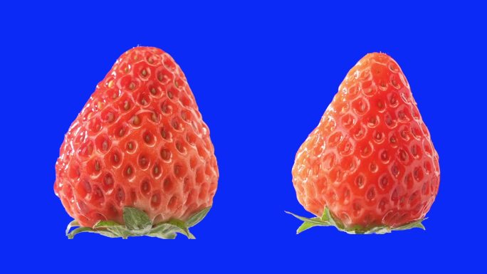 新鲜的水果草莓蓝幕里旋转