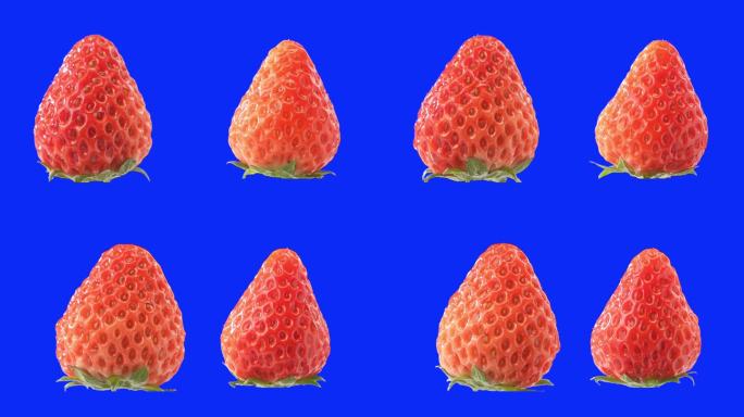 新鲜的水果草莓蓝幕里旋转