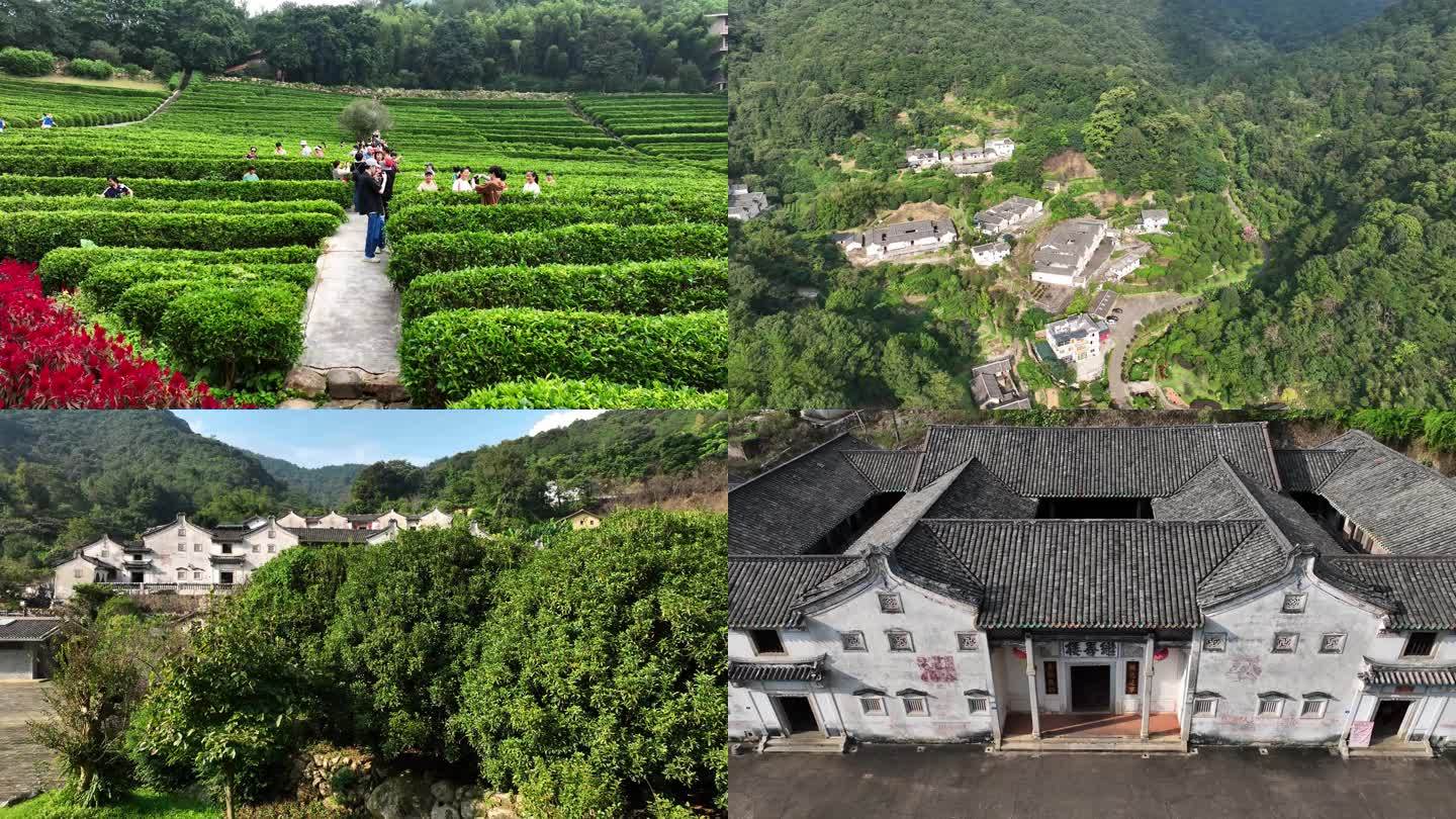 梅州雁南飞茶田景区4K航拍阴那山客家梅县