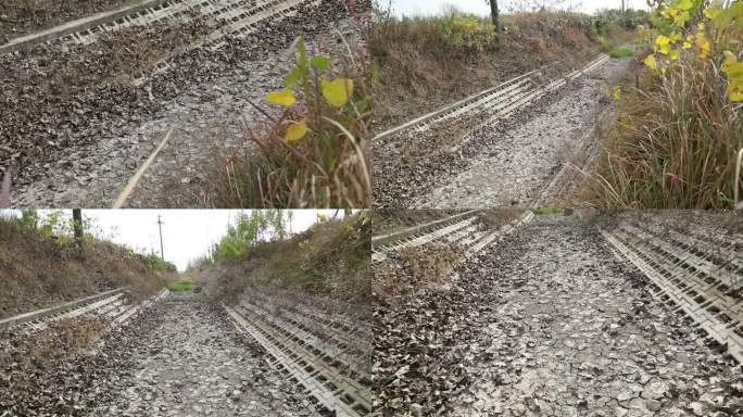 干旱 沟渠干涸 沟底裸露 树木落叶 枯叶