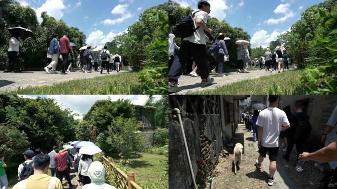 游客乡村旅游步行背影