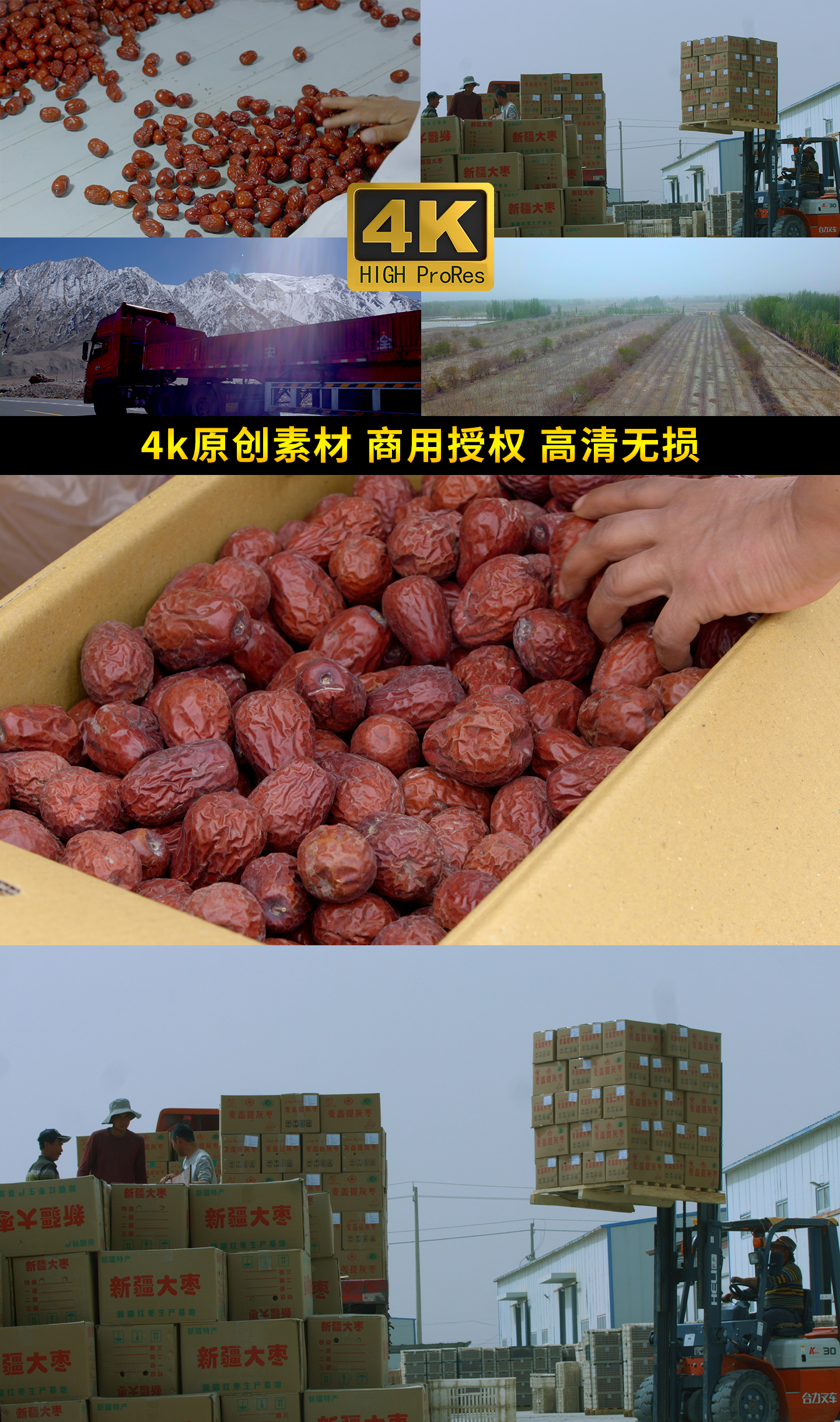 新疆红枣种植加工运输零售