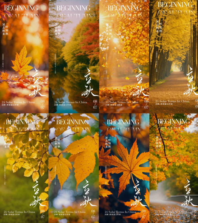 立秋二十四节气秋分AE模板