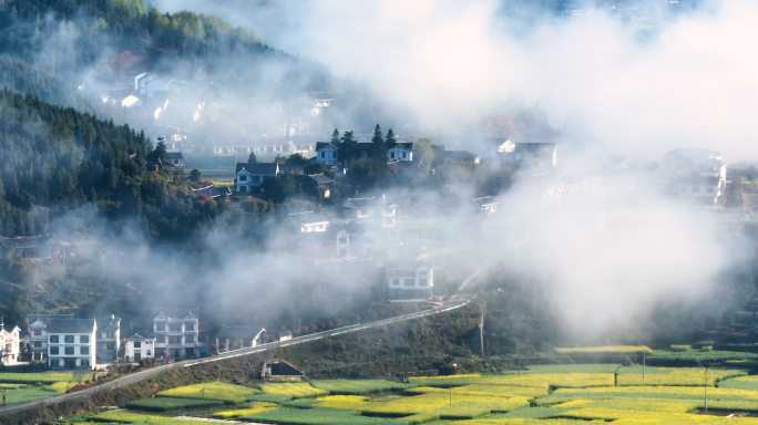 乡村振兴