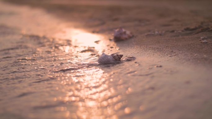 海浪冲刷沙滩上的海螺