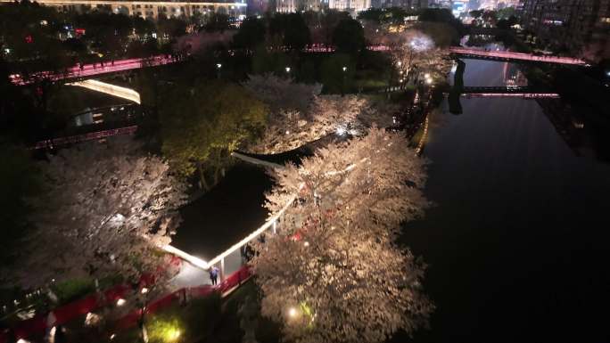 航拍宁波樱花公园夜景