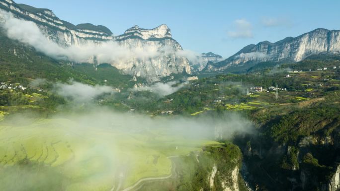 武陵山区云雾油菜花海