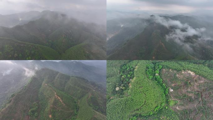 茂名信宜市山区航拍