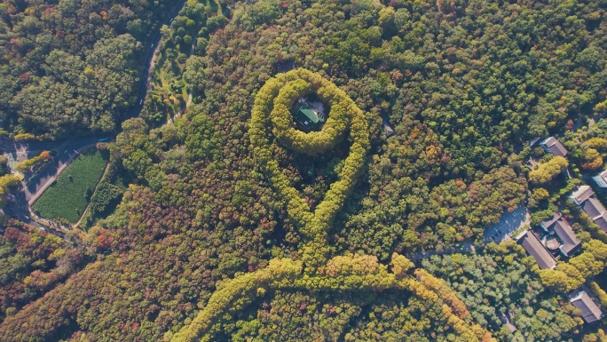 南京美龄宫钟山景区自然风光历史风景航拍