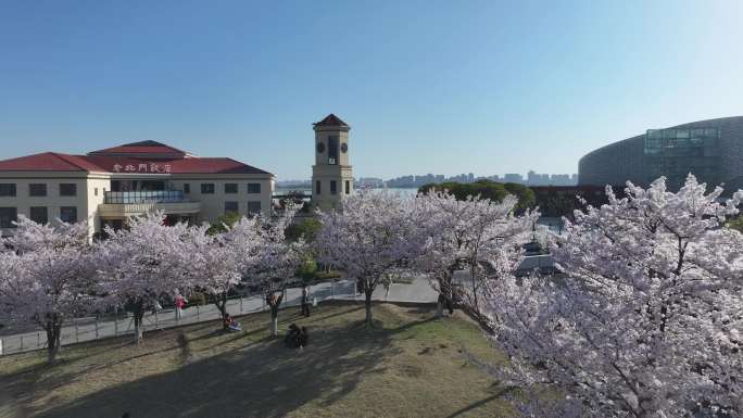 苏州国际博览中心樱花