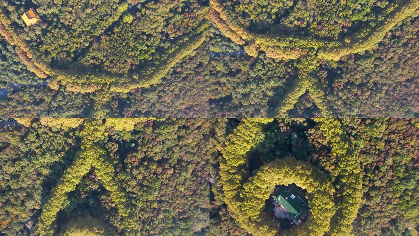 南京美龄宫钟山景区自然风光历史风景航拍