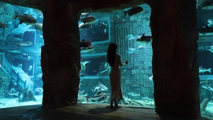 动物园海洋馆水族馆看鱼