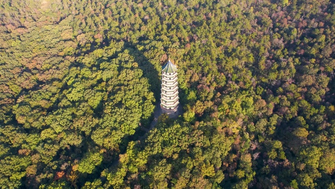 南京钟山景区灵谷塔风景朝阳名胜古迹航拍