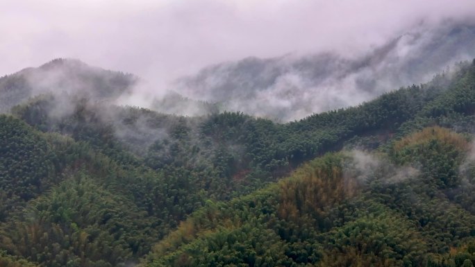 大山云海 空气清新 雨后山林