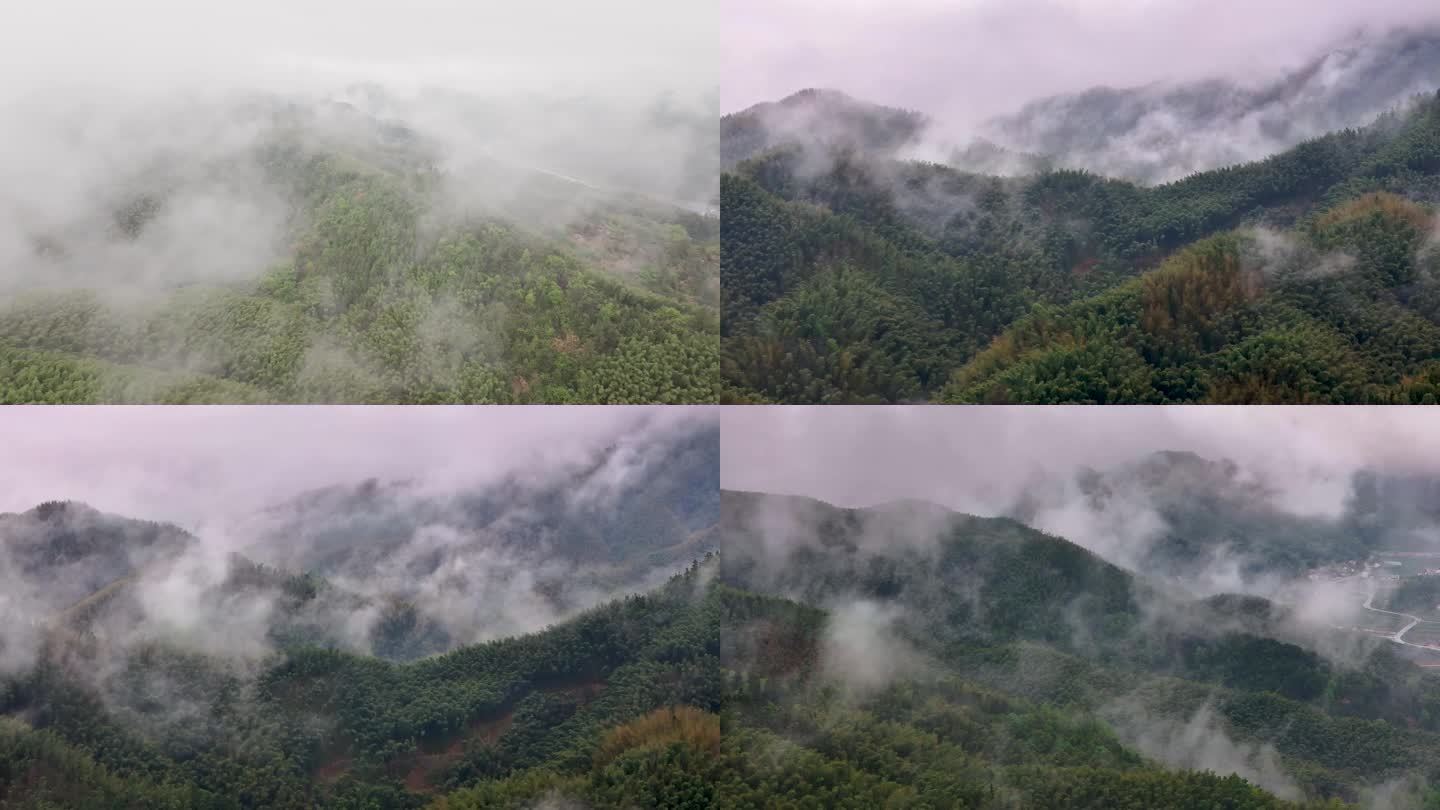 大山云海 空气清新 雨后山林