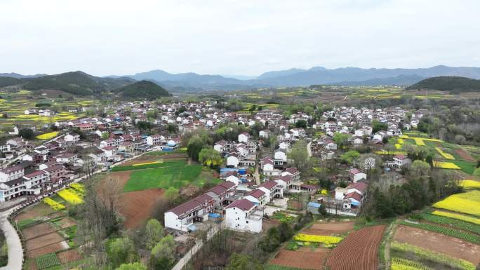 航拍陕西汉中油菜花海