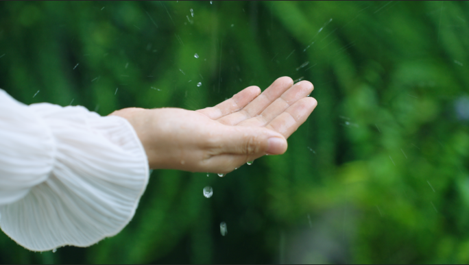 水 生命 森林河流溪流下雨雨滴 绿色自然