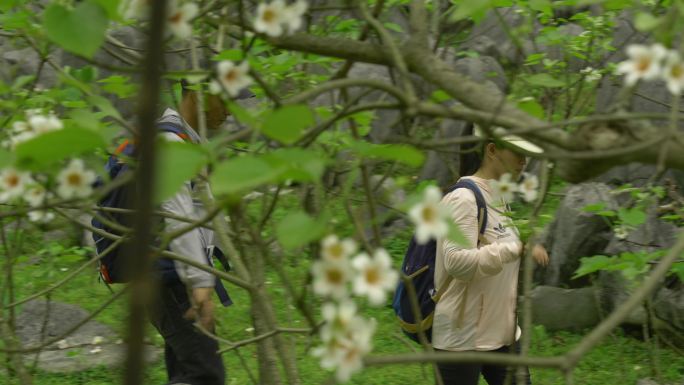 爬山攀登徒步户外运动