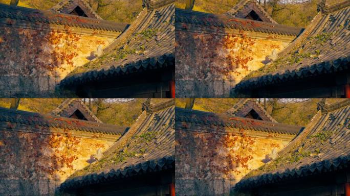 花果山 寺庙 夕阳 墙壁 佛寺