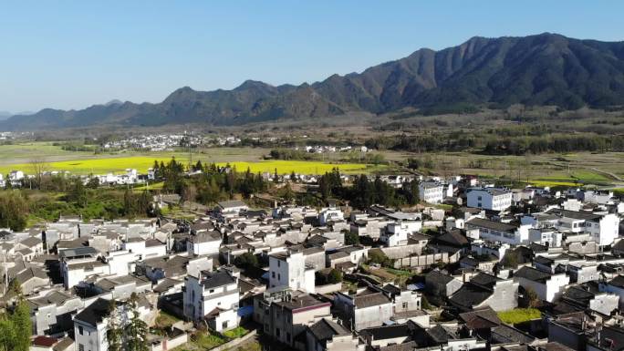 油菜花映衬下的徽州黟县古筑村