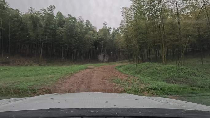 雨天山林小路  4K60帧高码率