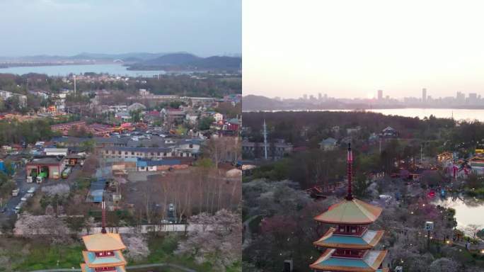 武汉市东湖樱花园五重塔夜景航拍4k竖屏