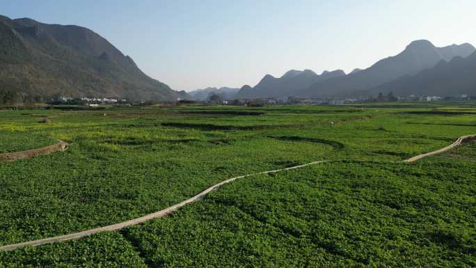 乡村山峦田间逆光