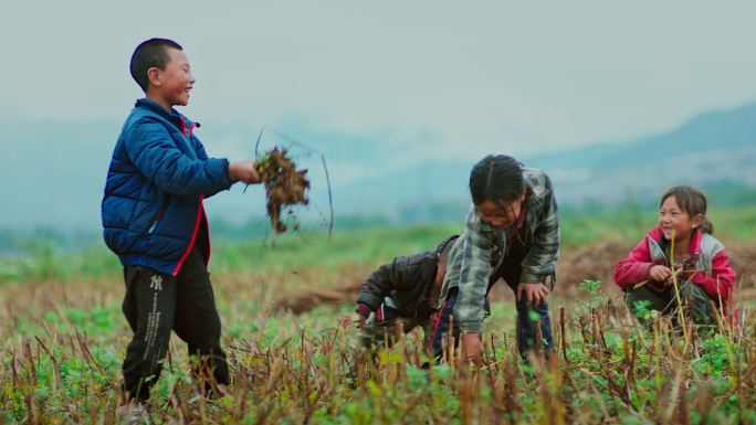 实拍农村孩子田间干活