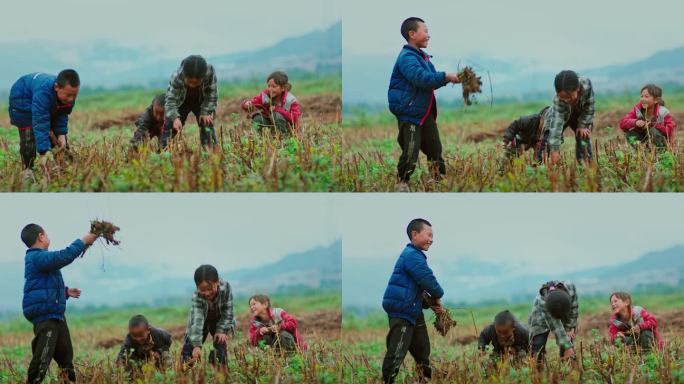 实拍农村孩子田间干活