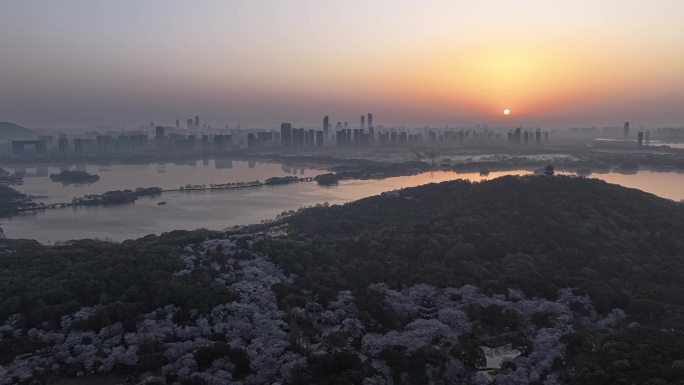 鼋头渚日出延时