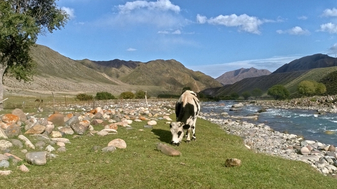 新疆博乐自然风景航拍