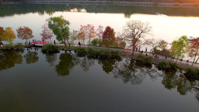 枫叶秋景夕阳南京前湖月牙堤钟山景区航拍