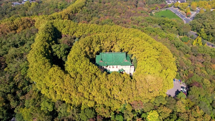 南京美龄宫钟山景区自然风光历史风景航拍