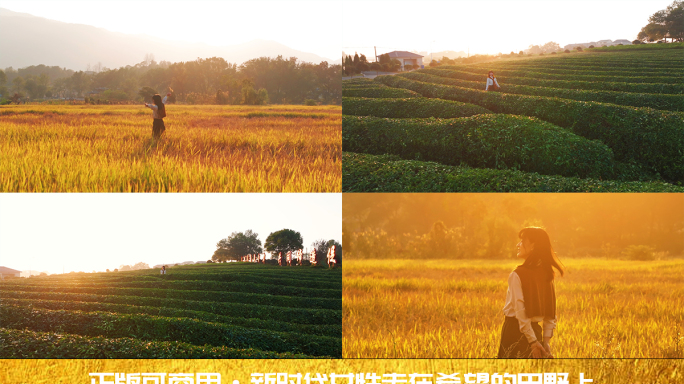 唯美女性在希望的田野上4K实拍视频