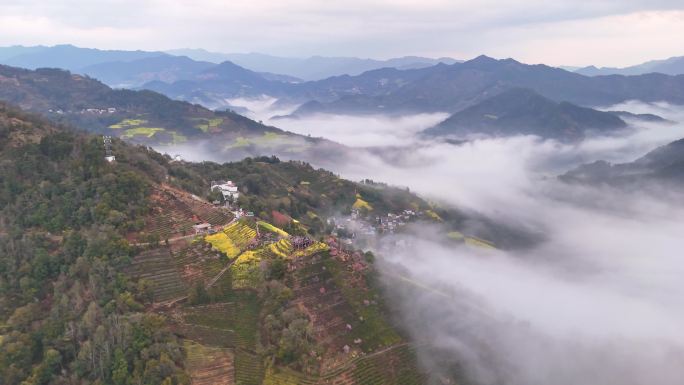 云海 皖南风光 皖南航拍 山水乡村 乡村