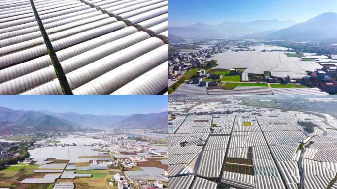 四川西昌凉山农业