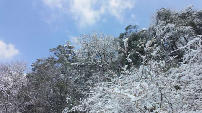 4k-韶山雪景 雪后韶山