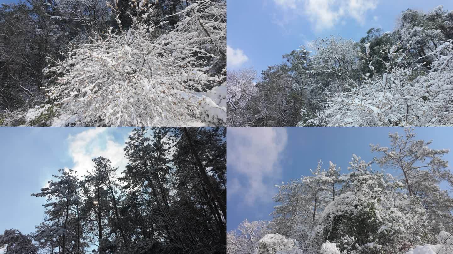 4k-韶山雪景 雪后韶山