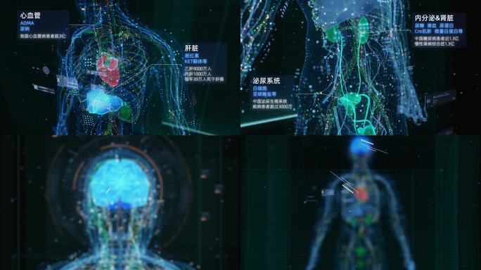 3D人体动画