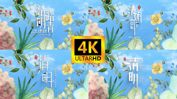 清明节踏青春天标题章节简洁小清新片头4k