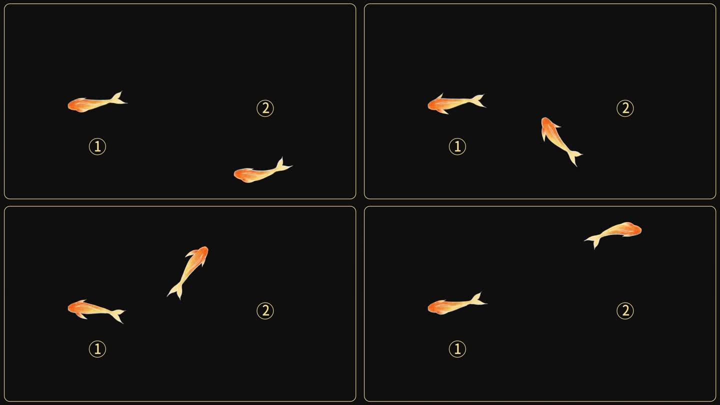 一组锦鲤游动循环动画