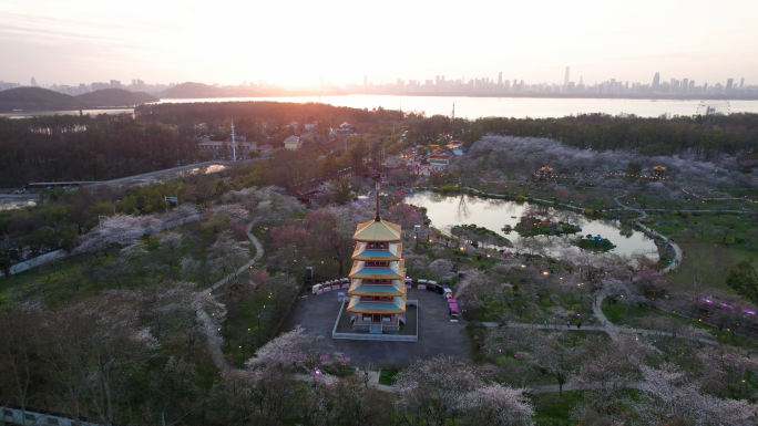 4k合集-武汉市东湖樱花园五重塔夜景航拍