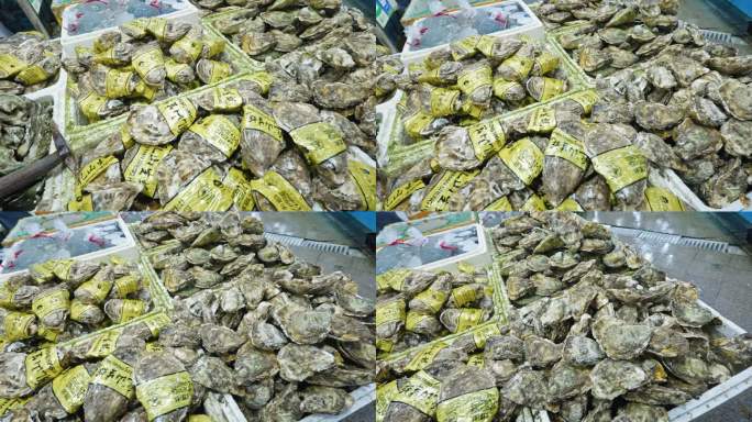 【正版素材】海鲜档口海鲜市场2751