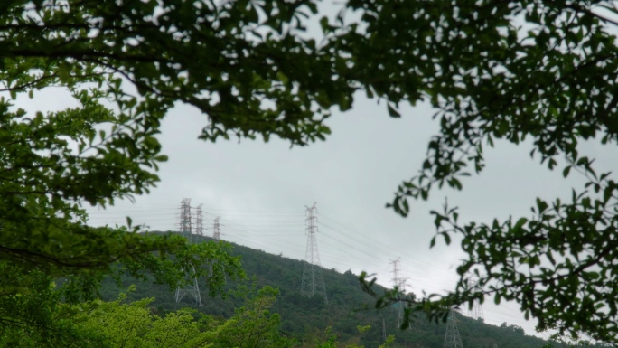 风雨前夕乌云密布强风吹拂，树叶摇曳