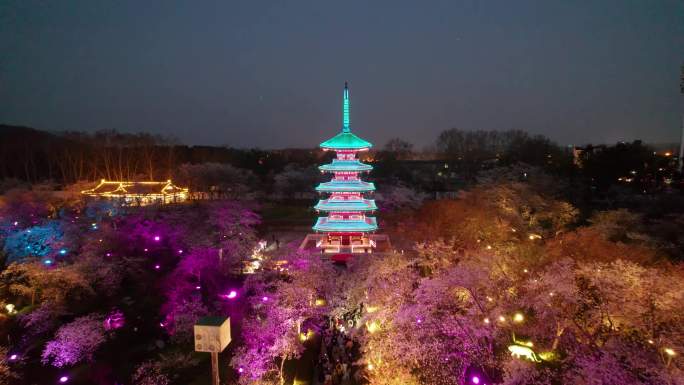 武汉市东湖樱花园五重塔夜景航拍4k