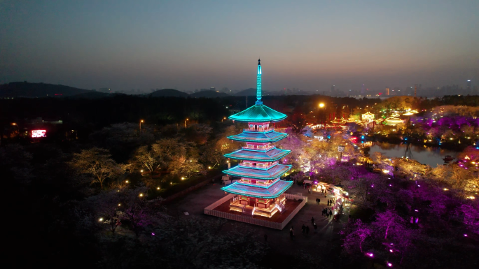 4k合集-武汉市东湖樱花园五重塔夜景航拍