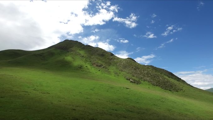 久治 门堂 黄河湾 草原 村落